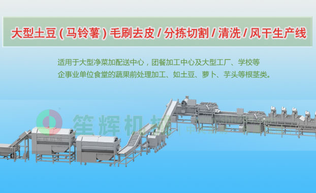 青州连续式土豆去皮清洗切割风干生产线